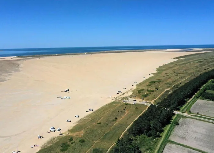 0413-romo-skovskaden-13 *